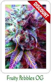 Buy Fruity Pebbles OG marijuana seeds on Sale!
